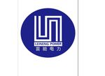 雷能电力集团