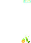 玻璃杯橙子  报纸底纹
