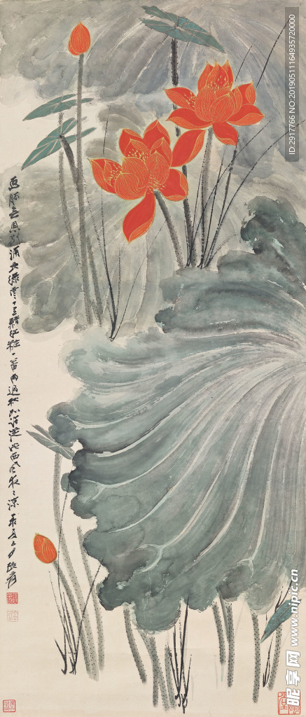 红莲花