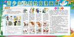 校园展板