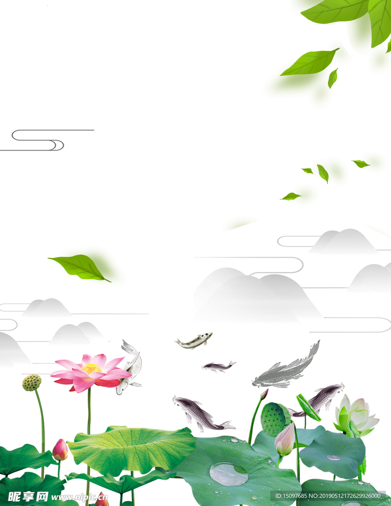 荷花背景