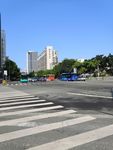斑马线 道路