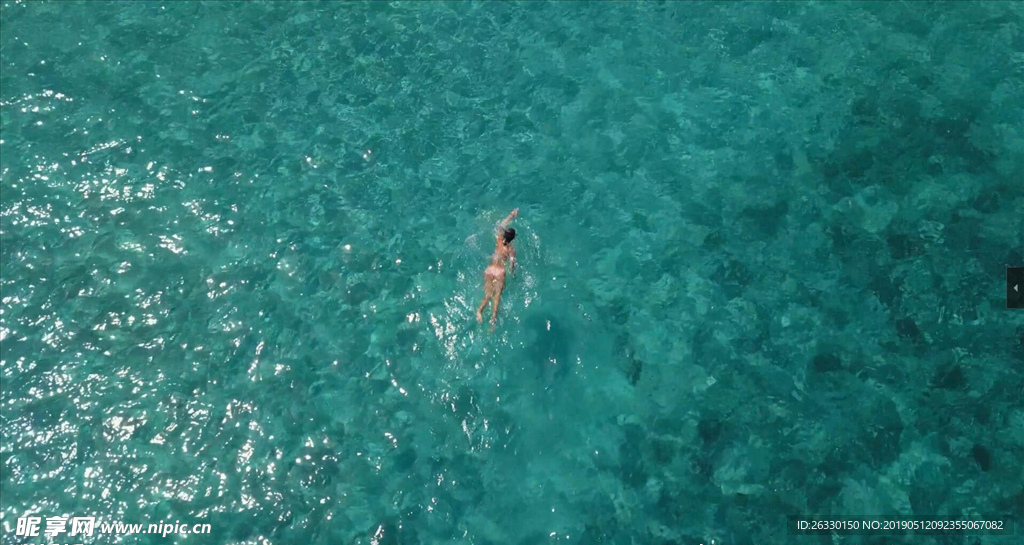 游泳