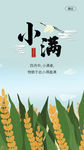 小满