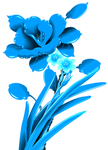 青花瓷