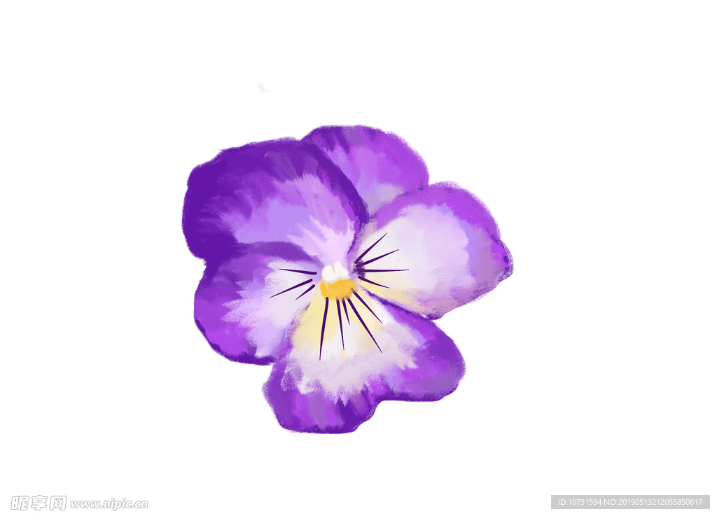 紫色花