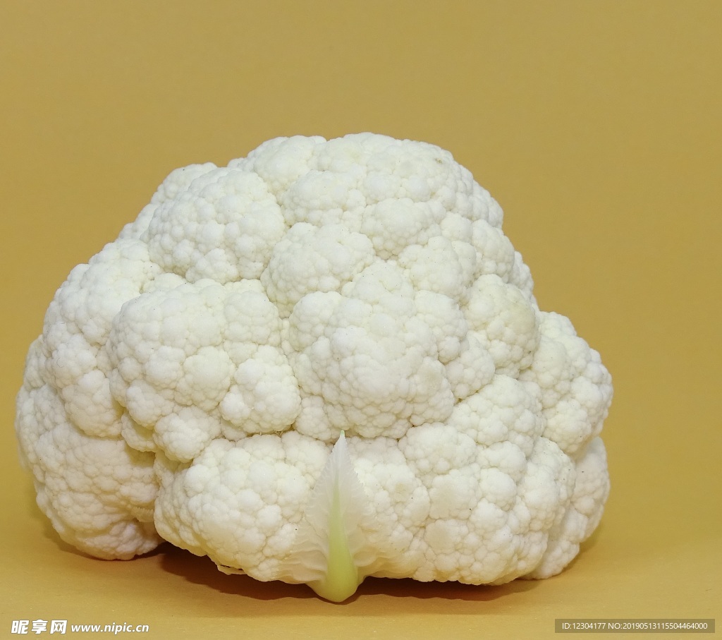 椰菜花