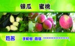 甜瓜 银瓜 蜜桃名片
