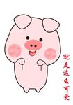 可爱小猪猪