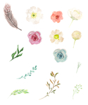 手绘风格花朵小花