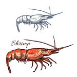 河鲜海鲜