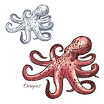 河鲜海鲜