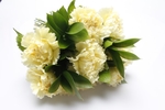 康乃馨 紫色 花束 礼品 装饰