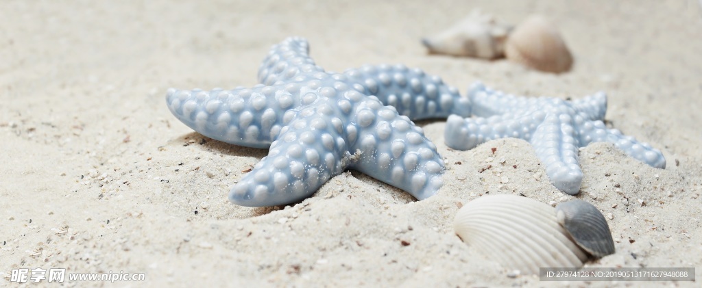 海星