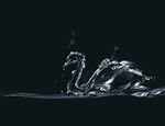 水
