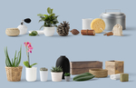 化妆用品 植物样机