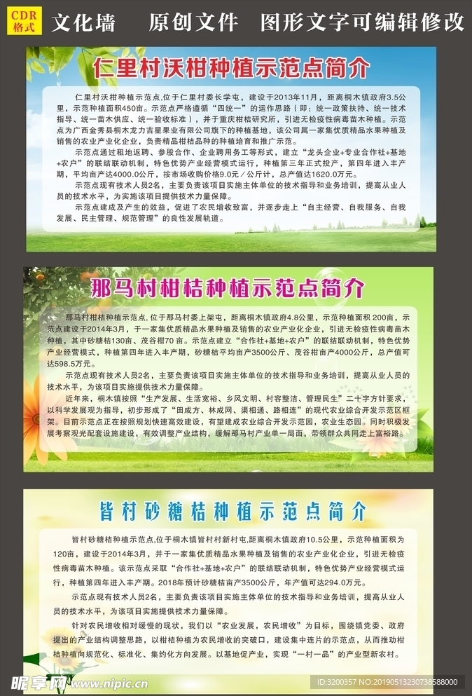 柑桔种植示范点