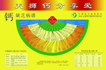 天狮钙