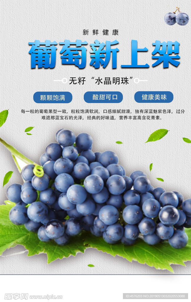 葡萄海报