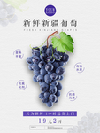 葡萄海报