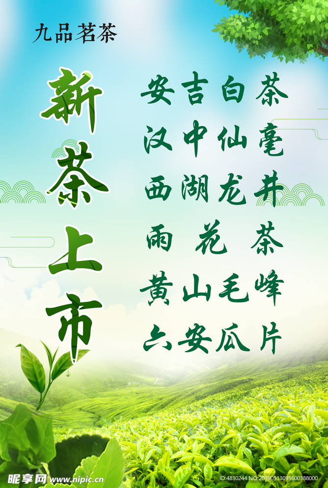 新茶上市