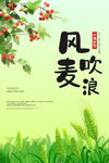 小满