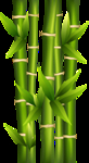 竹子