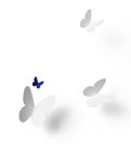 蝴蝶