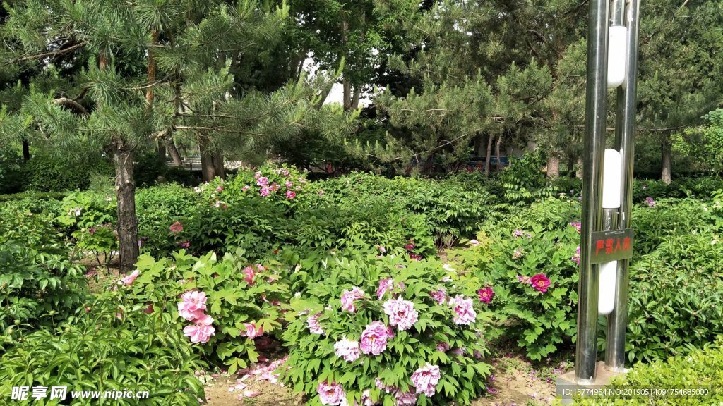 黄村公园