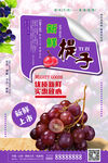 新鲜提子