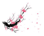 中国风水墨梅花