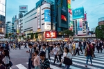 城市