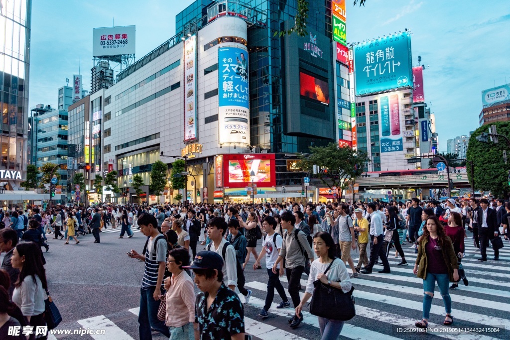 城市