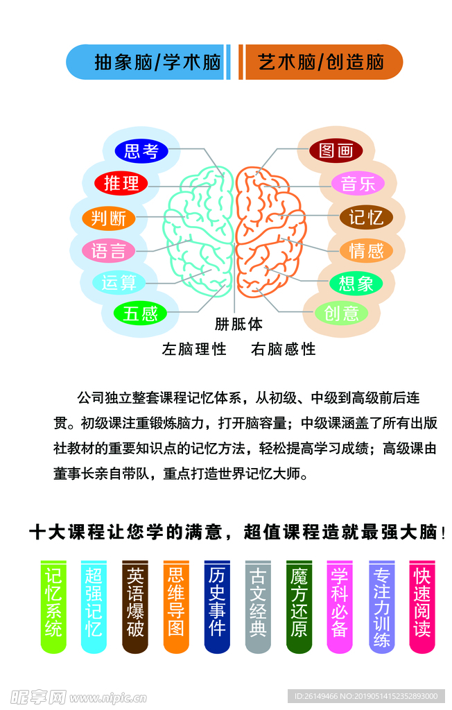 大脑记忆体系