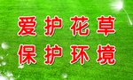 草坪底图