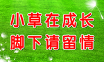草坪底图