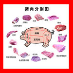 猪肉分割图