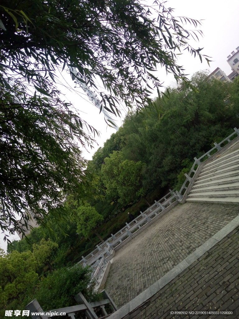 公园风景