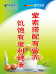 荤素搭配有营养饥饱有度李健康