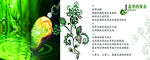 翡翠的保养