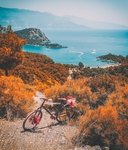 海湾