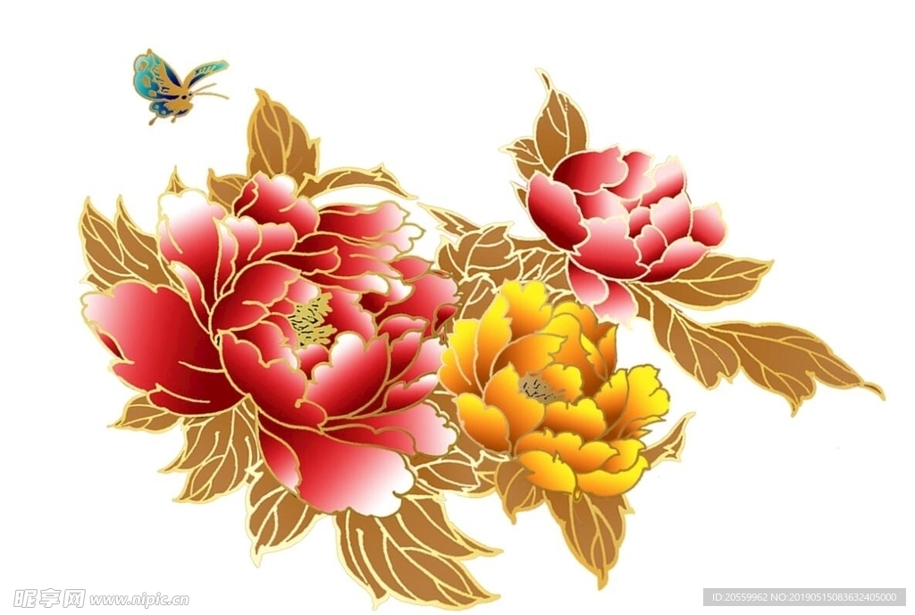 牡丹花