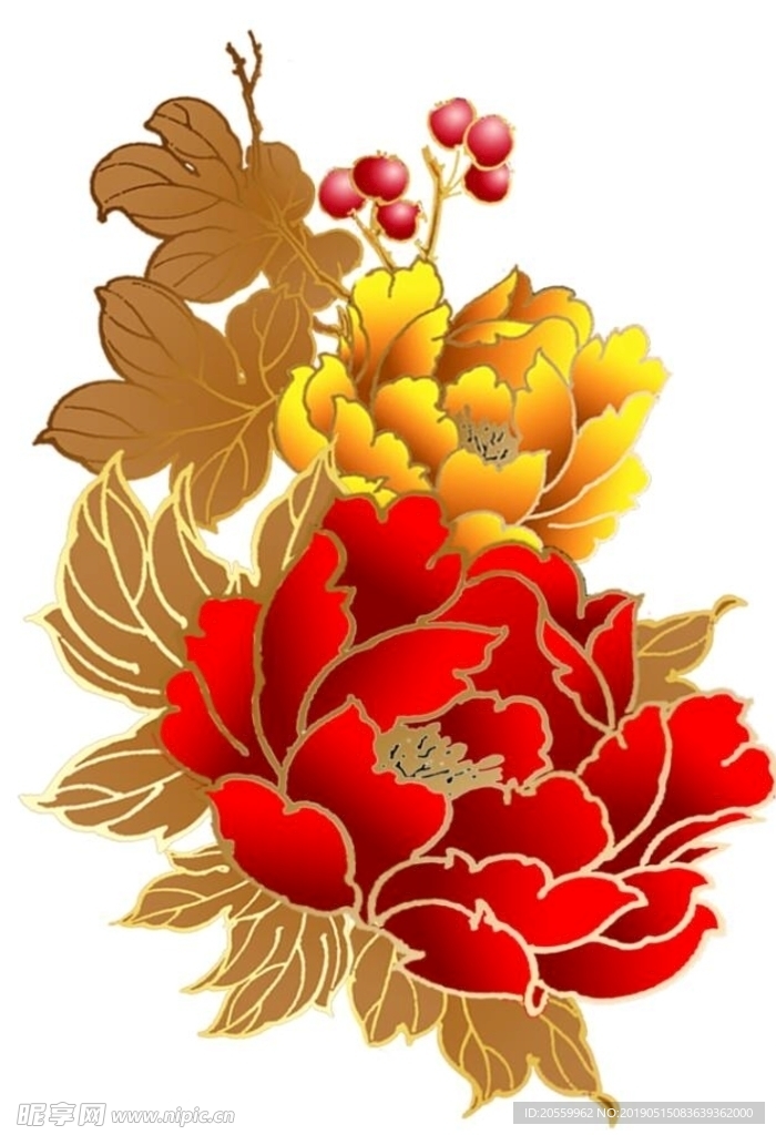 牡丹花