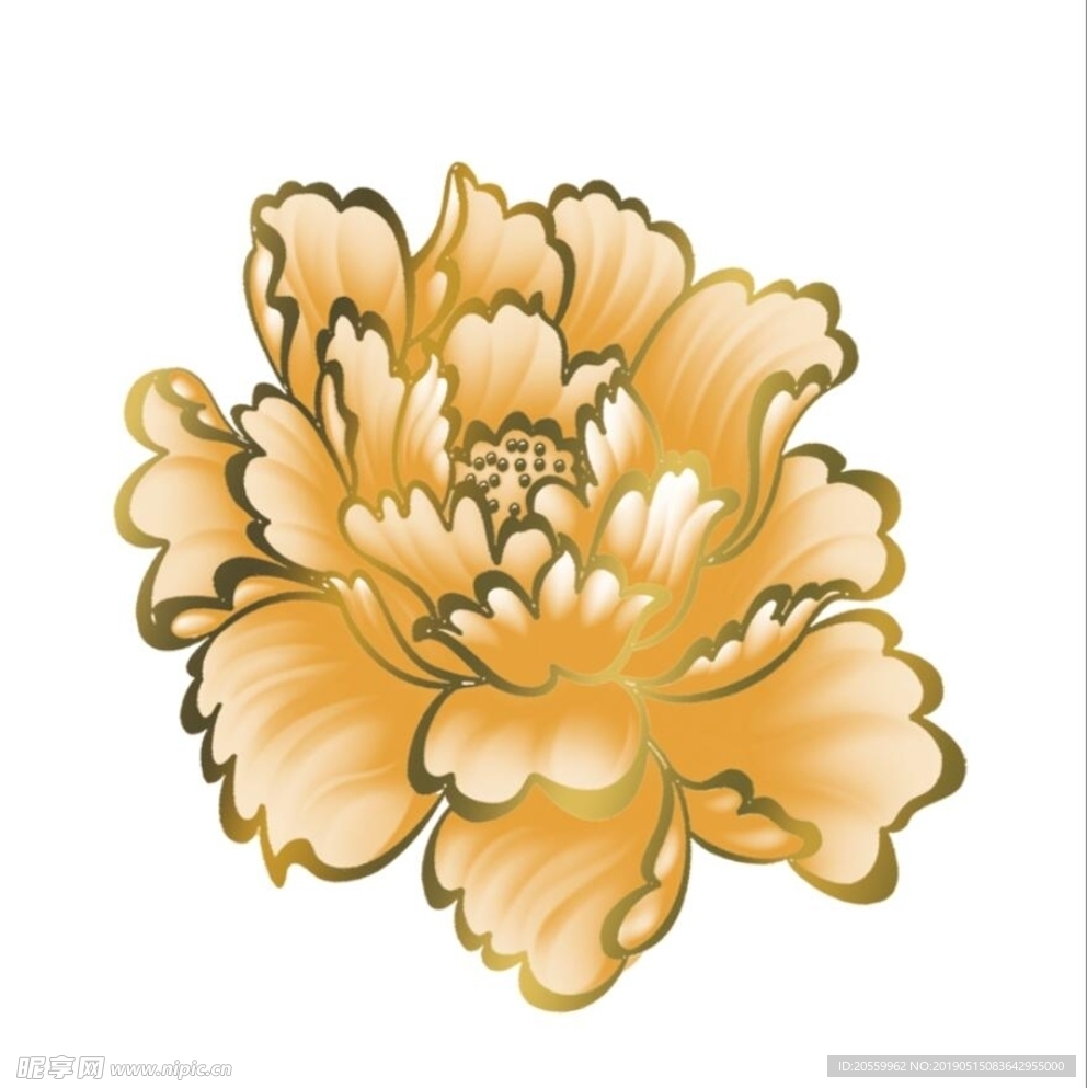 牡丹花
