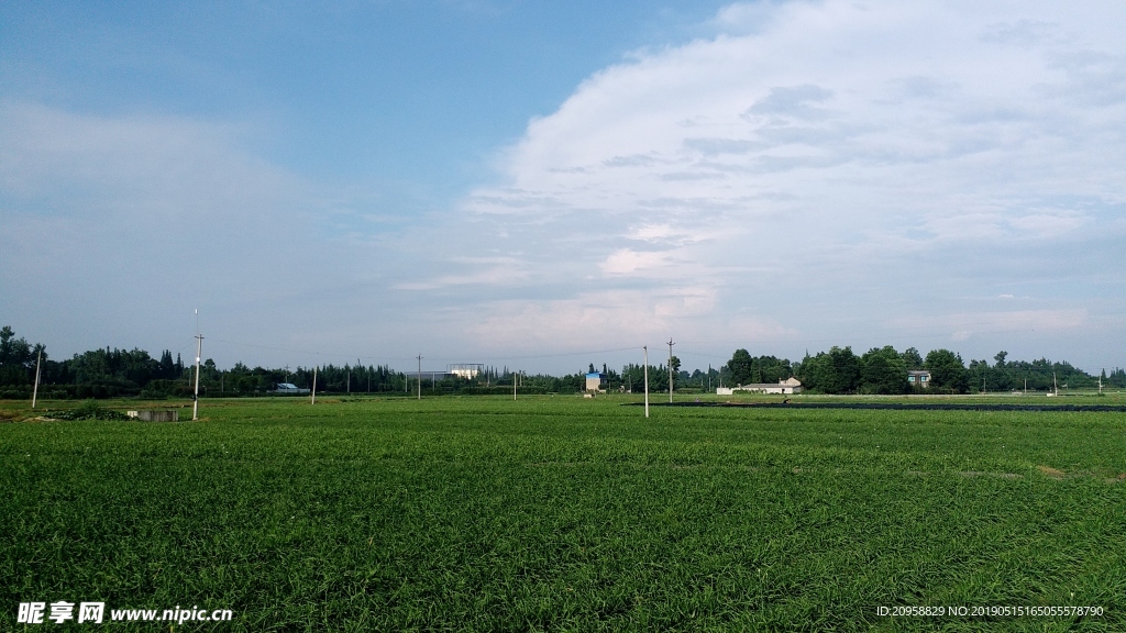 农田 田地