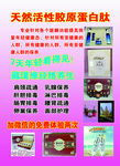 经络养生海报
