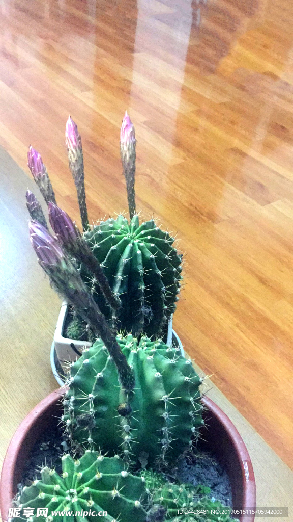 花