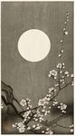 中国画梅花
