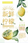 柠檬海报