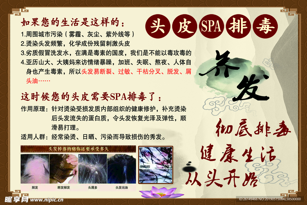 头皮排毒-养发海报